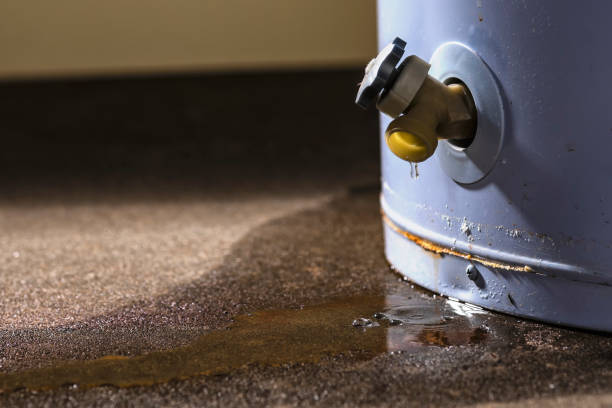 Best Water damage cleanup near me  in Mitchell, IL