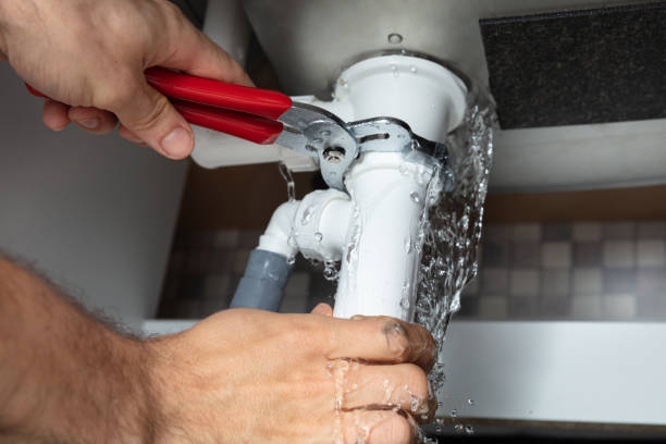 Best Water damage restoration specialists  in Mitchell, IL