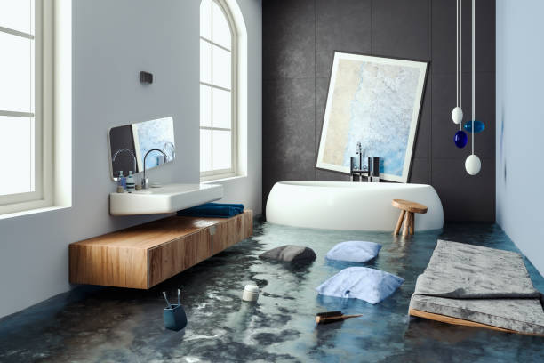 Best Water damage cleanup near me  in Mitchell, IL