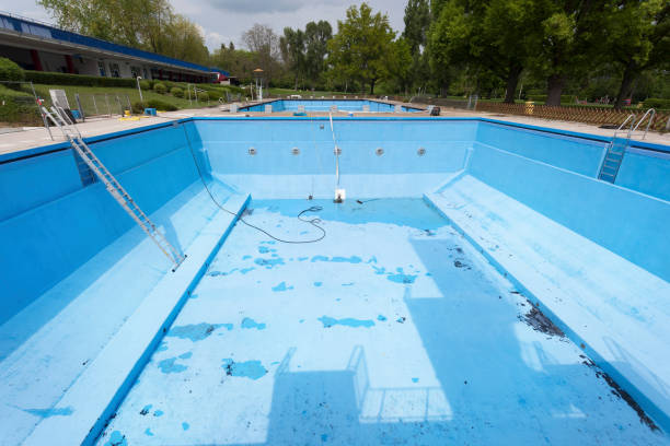 Best Professional water damage repair  in Mitchell, IL