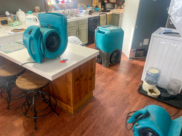 Best Professional water damage repair  in Mitchell, IL