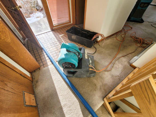 Best Local water damage restoration  in Mitchell, IL