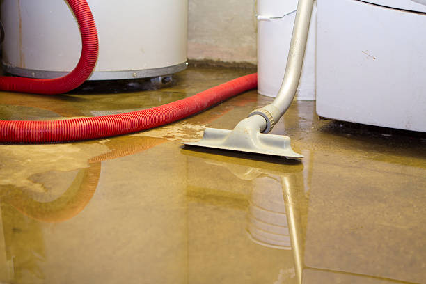 Best Emergency water damage restoration  in Mitchell, IL