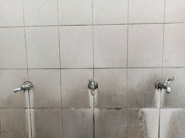 Best Water damage contractors near me  in Mitchell, IL