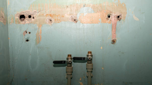 Best Sewage cleanup and water damage restoration  in Mitchell, IL