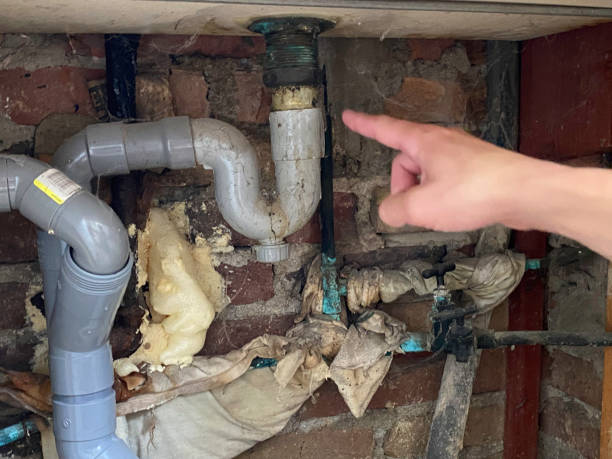 Best 24-hour water damage restoration  in Mitchell, IL