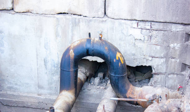 Best Carpet water damage restoration  in Mitchell, IL