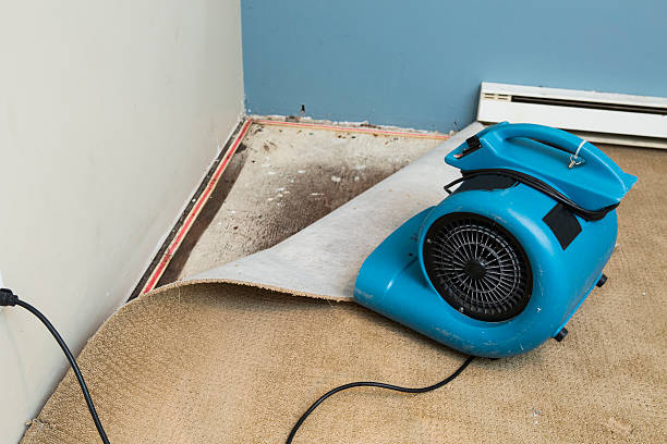 Best Flood restoration services  in Mitchell, IL
